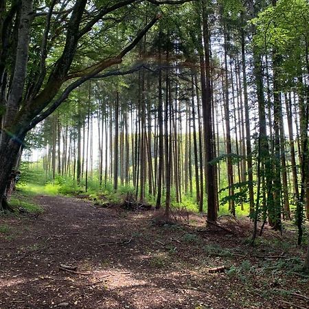 Zimmer Mit Bergblick Starnberg Zewnętrze zdjęcie